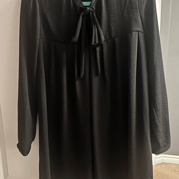 Birds of North America Ducks Dress - Picture 1 of 5